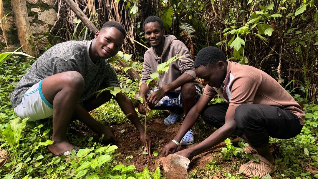 Environmental health